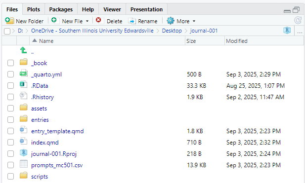 RStudio Files pane showing the populated journal project directory.