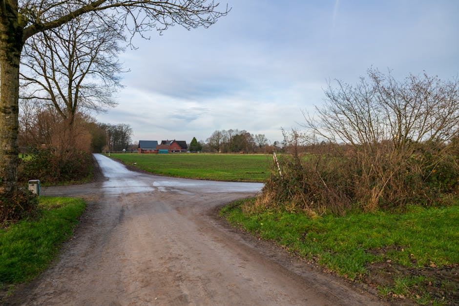 Crossroads representing research decision points