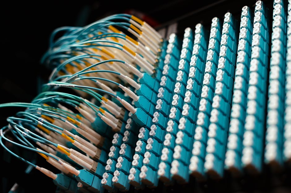 Neatly organized cables representing clean data
